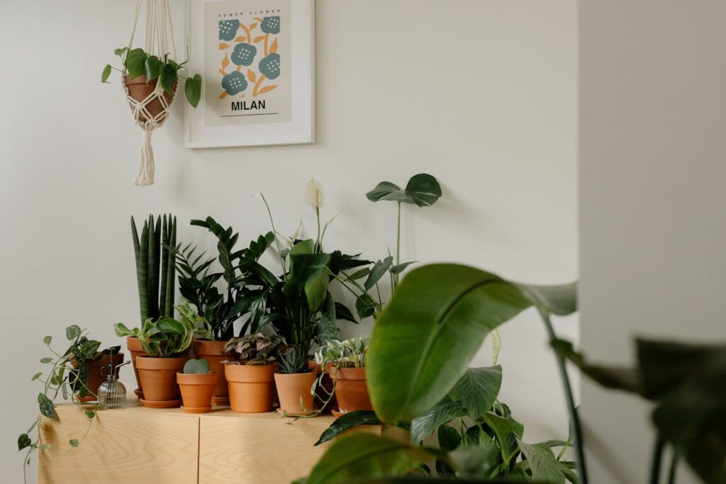 Urban Gardening & Microgreens: A Fresh Revolution in City Living