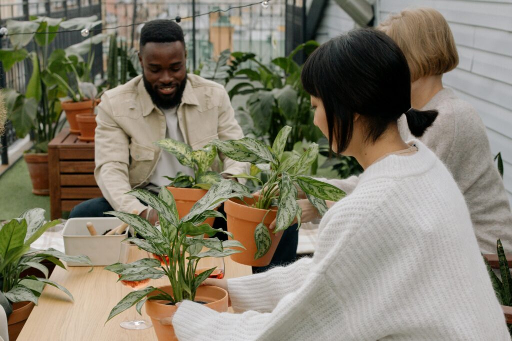 community gardening